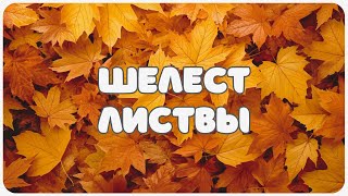 картинка: Белый Шум Природы: Шелест Осенней Листвы