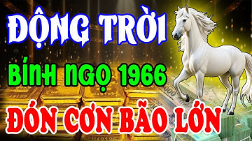 BÍ MẬT ĐỘNG TRỜI: Bính Ngọ 1966 Tháng 8 ÂL Đón CƠN BÃO LỚN, Tránh 5 Điều Này – Tiền Vào Như Nước!