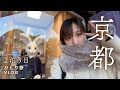 【京都】頑張らないひとり旅2泊3日！〜冬の京都でゆったり骨休め〜