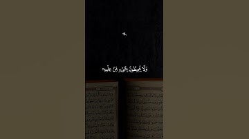آية الكرسي بصوت الشيخ أحمد العجمي قرآن كريم بصوت جميل ومؤثر 🎧🥰🤍 #قرآن #قران_كريم #آية_الكرسي