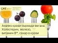 Анализ крови сыроеда/вегана. Холестерин, железо, витамин B12, сахар в крови