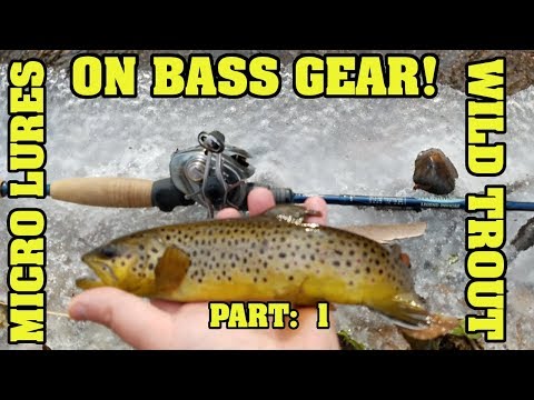 BFS fishing for