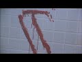 Miniature de la vidéo de la chanson Chapter 21, Part 02