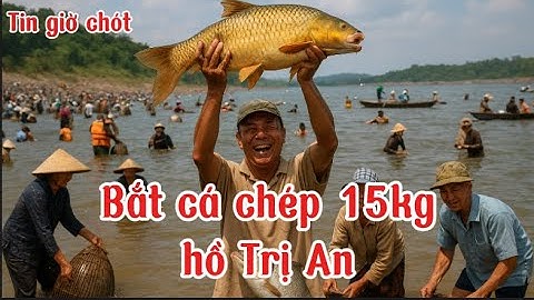 Cảnh tượng choáng ngợp: Bắt cá khổng lồ 15kg khi đóng đập Trị An – Người dân reo hò!