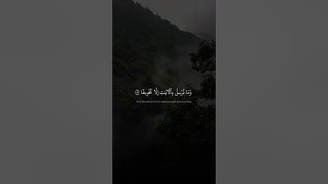 وَءَاتَيۡنَا ثَمُودَ ٱلنَّاقَةَ مُبۡصِرَةٗ | محمد صديق المنشاوي | سورة الإسراء