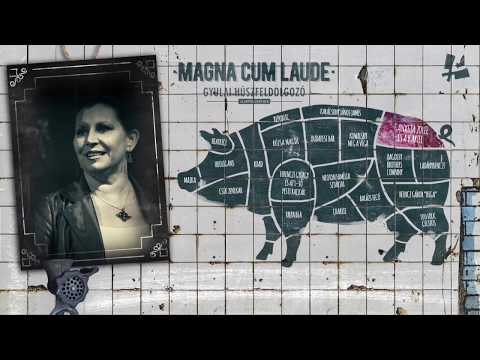 Csík Zenekar - Volna-e kedved? /Magna Cum Laude - Gyulai Húszfeldolgozó/