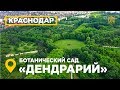 Парк Дендрарий Краснодар аэросъемка ботанический сад имени ИС Косенко вид сверху #ВеснаHD #MW_I