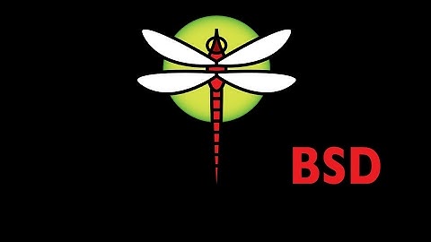 How to Install DragonflyBSD