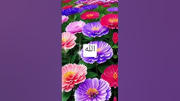 ايات قرانية من سورة الانبياء