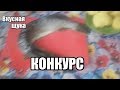 Как вкусно приготовить Щуку(Конкурс)Ч1