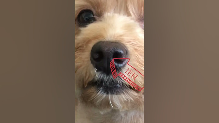 犯人はボクじゃない！I'm not the culprit