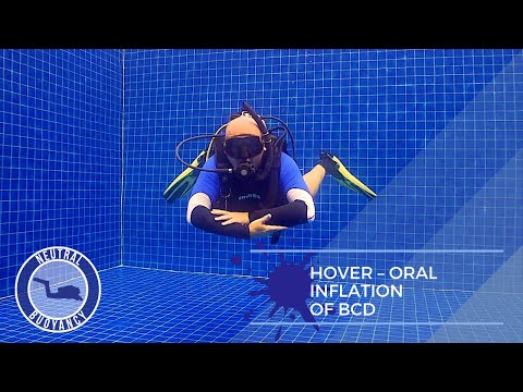 How to HOVER While Scuba Diving (Neutrally Buoyant 60 Seconds) 🤿 PADI Divemaster Skill Circuit