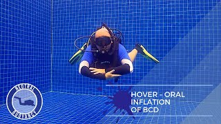 How to HOVER While Scuba Diving (Neutrally Buoyant 60 Seconds) 🤿 PADI Divemaster Skill Circuit