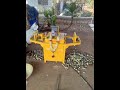 Sugarcane bud cutting machine sugarcane bud cutter machine sugarcane bud chipper cleantek