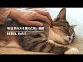 「総合防災力を備えた家」猫篇 ｜ヘーベルハウス