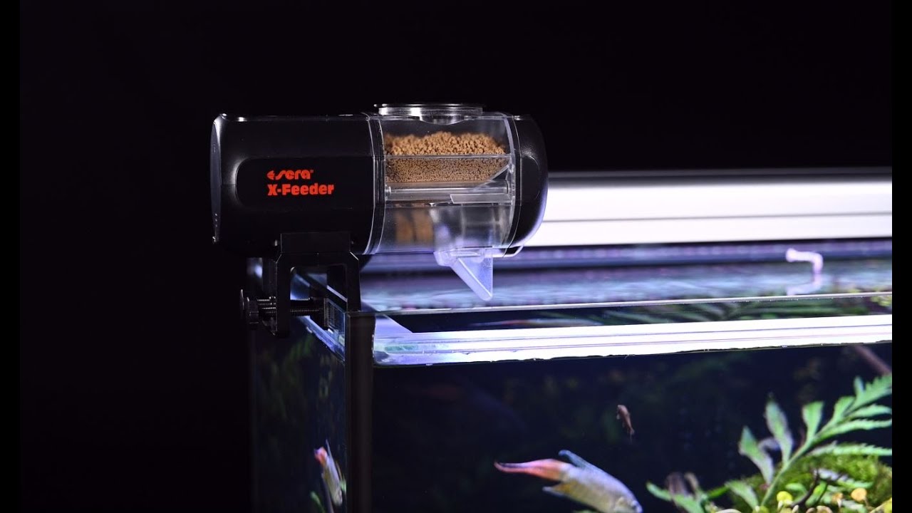 Duplamatic, distributeur de nourriture pour poissons de Dupla