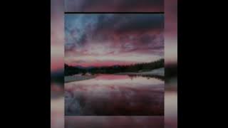 StoryWa #(PETIT BISCUIT - Sunset Lover)