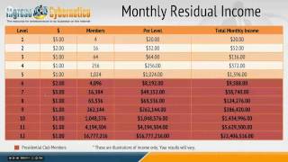 IC Business Overview