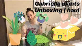 GABRIELLA PLANTS UNBOXING | HAUL 🌱 🌵
