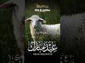 qurbani kiya kro #shortsfeed #shortvideo #beautiful #shortsfeed