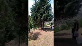 Beni Sana Aşık Eden... 💖