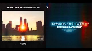 David Guetta  Afrojack  Dubvision  Luxtides Hero Back To Life dj Looly Mashup 192