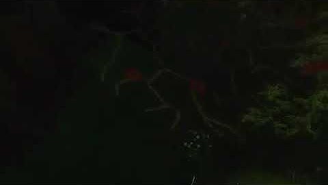 Taylor Swift: Look What You Made Me Do (The Sims 4)