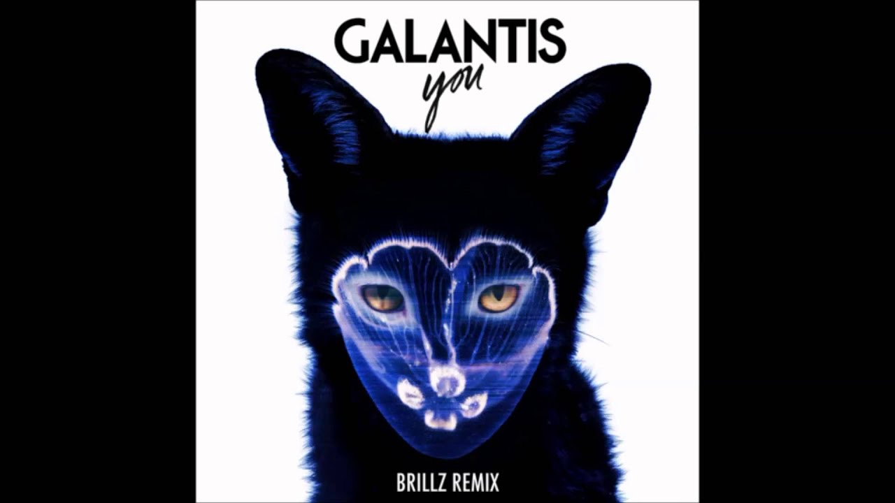 animal brillz remix animal brillz remix