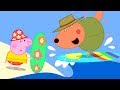 Peppa Pig Official Channel 🏄‍♀️ Peppa Pig Learns How to Surf 🏄‍♀️ Peppa Pig Australia Special