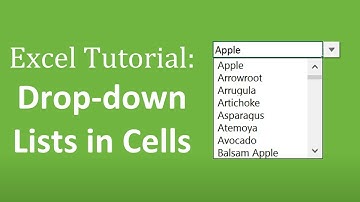 How to Create Drop Down Lists in Cells - The Complete Excel Guide