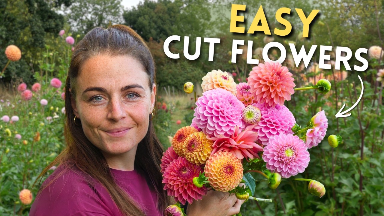 10 Easy Cut Flowers Anyone Can Grow This Season