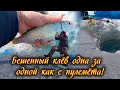 РЫБА КЛЮЕТ КАК С ПУЛЕМЕТА