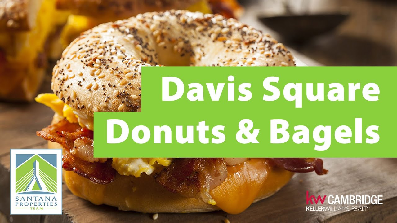 Davis Square Donuts & Bagels - Santana Properties Team