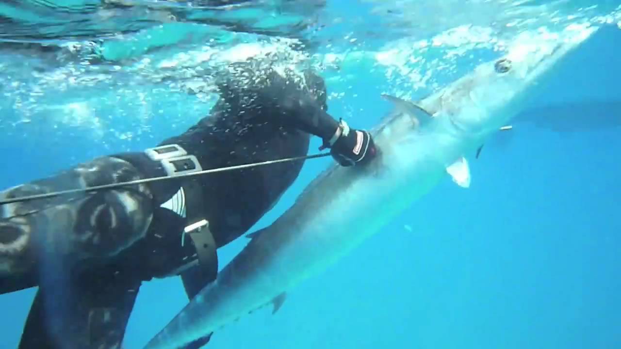 New Jersey to Key West Spearfishing Music by Heavy Living YouTube