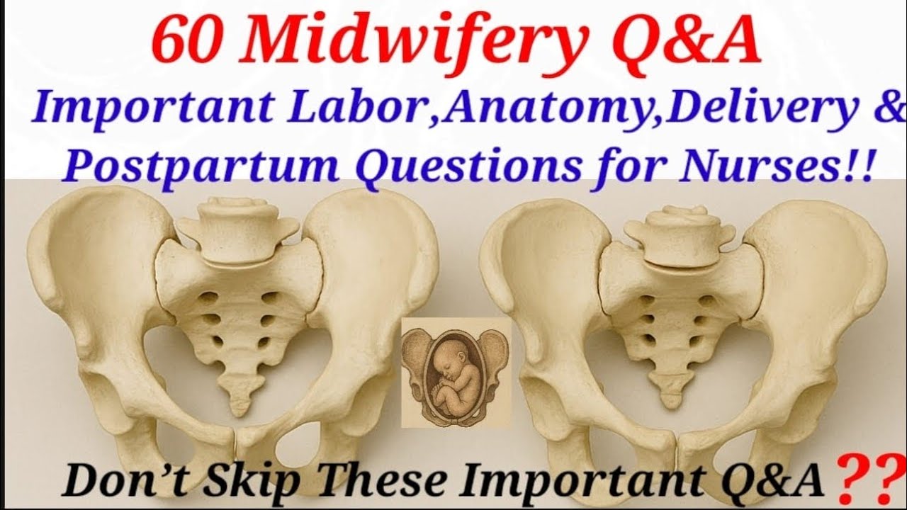 TOP 60 midwifery  Nursing MCQ/ Midwifery questions & Answer, obstetric & Gynecology MCQ