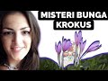 KISAH RUMIT MELIBATKAN BUNGA KROKUS | KASUS MARY YODER