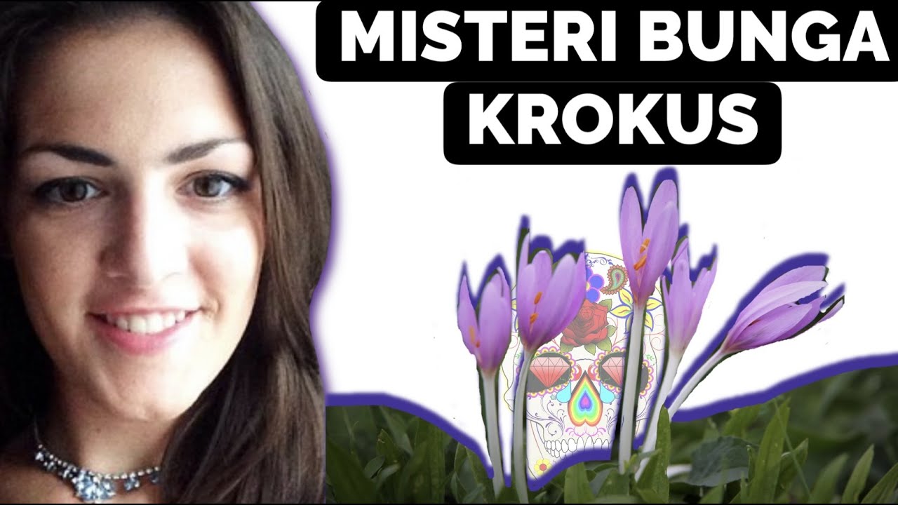 KISAH RUMIT MELIBATKAN BUNGA KROKUS | KASUS MARY YODER