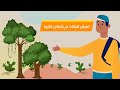 تعيش النباتات في أماكن كثيرة علوم الصف الأول الابتدائي الفصل الدراسي الأول