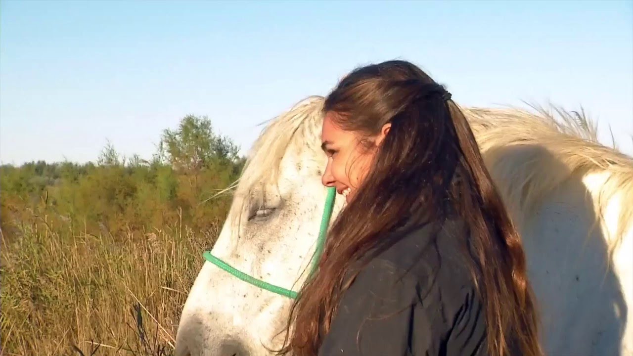 Domaine de Sylvéréal en Camargue : Les animaux de la 8