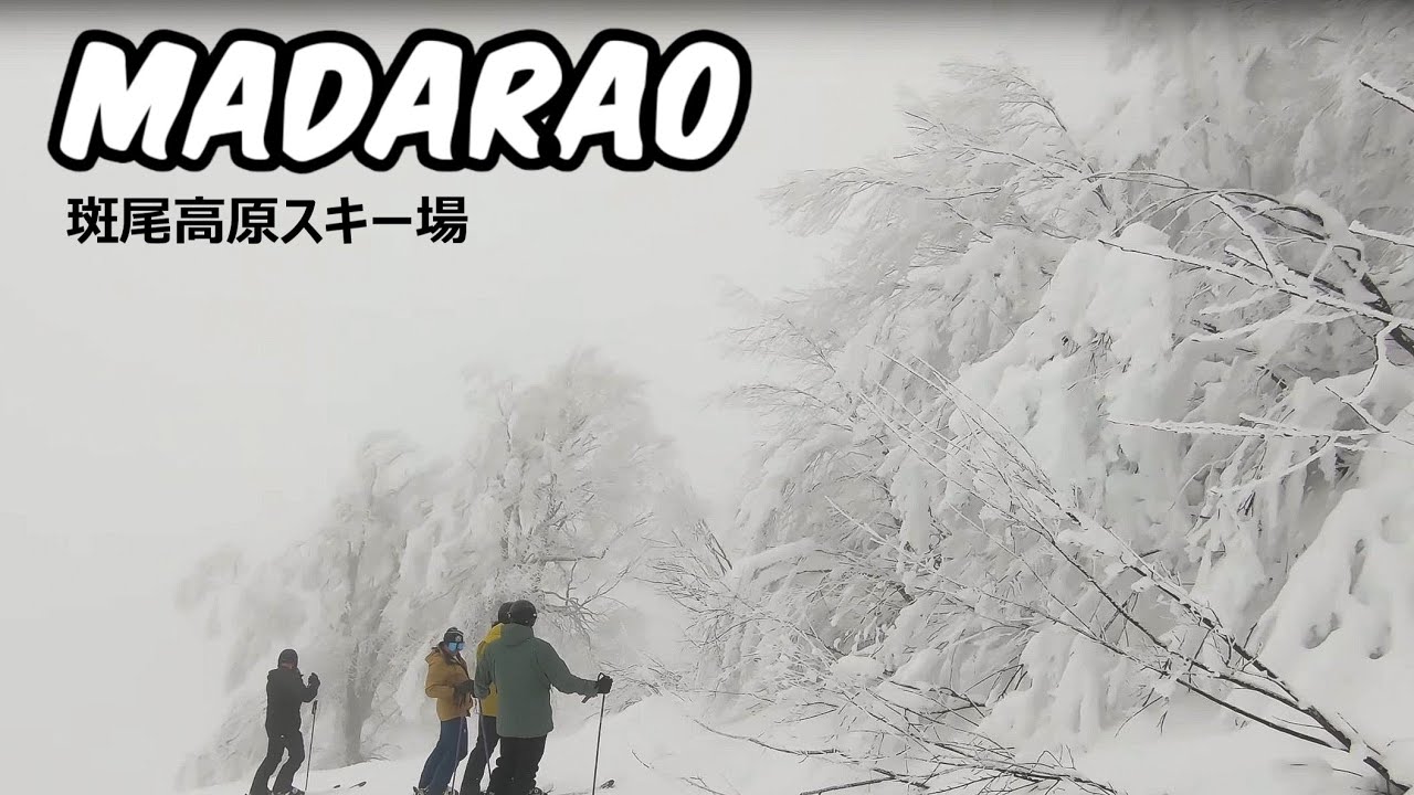 Madarao Mountain Resort | 斑尾高原スキー場 | Ski Resort Japan