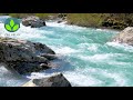 BRUIT EAU DE LA RIVIERE QUI COULE - 4K - Relaxation méditation calme dormir zen