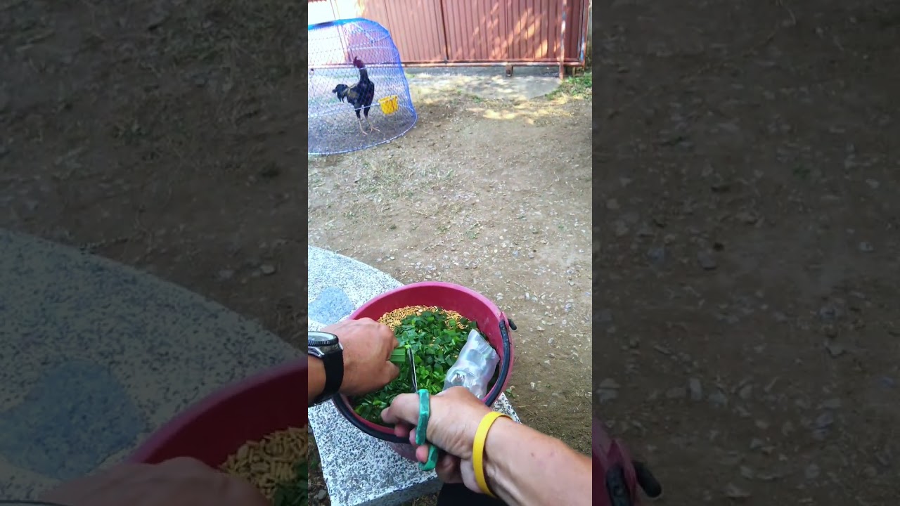 7 มีนาคม 2569