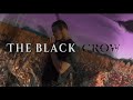 The black crow  mg official music