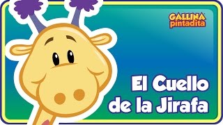 El Cuello de la Jirafa  Gallina Pintadita 2  Oficial  Canciones infantiles para niños y bebés