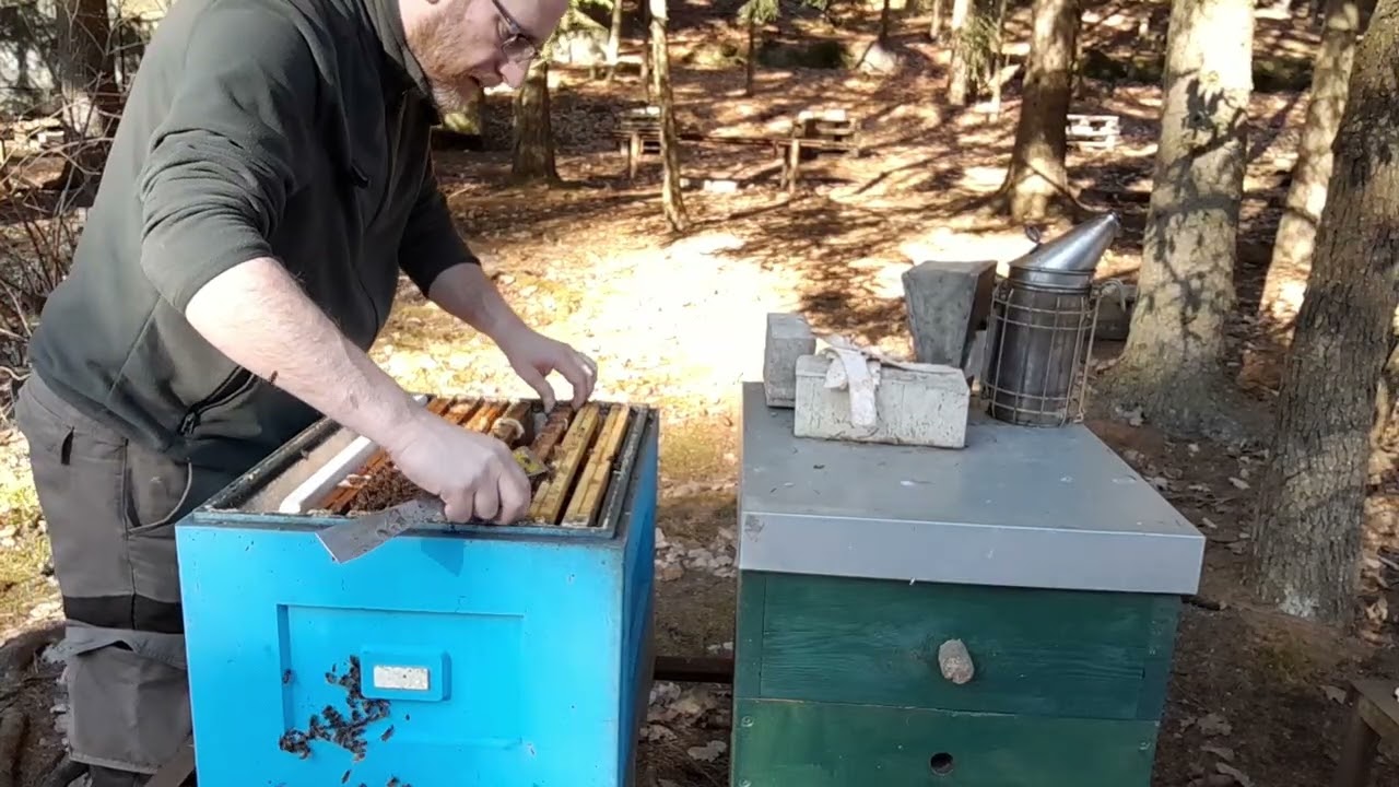 Jak pomoci s jarním rozvojem pomocí komorování