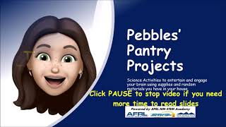 Pebbles' Pantry Project-Technology 101