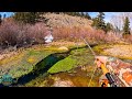 Fly fishing a tiny creek for big trout brown trout fishing heaven