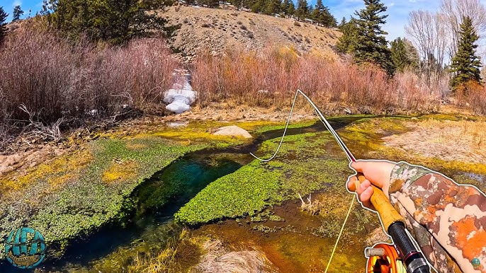 10 Western Colorado Fly-Fishing Spots