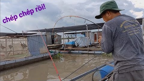 Cá chép khủng - Ba Nguyên Khôi tái xuất trúng ổ cá Tra | Câu cá trên bè T 356