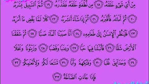 080 سورة عبس  بصوت الشيخ / فارس عباد